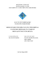 khảo sát khả năng hòa tan lân, tổng hợp iaa và enzyme chitinase của vi khuẩn phân lập từ đất vùng rễ lúa