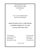 khảo sát khả năng ức chế enzyme xanthine oxidase từ lá sa kê (artocarpus altilis (park.) fosb.)