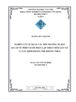 nghiên cứu sử dụng các môi trường tế bào sơ cấp từ phôi vịt để phân lập virus viêm gan vịt và xác định kháng thể kháng virus