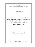 ảnh hưởng của các phương pháp chủng phân vi sinh dasvila đến sinh trưởng và năng suất giống lúa om5464 trồng trong nhà lưới vụ đông xuân 20122013