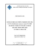đánh giá hiệu quả phòng trị bệnh cháy bìa lá lúa (xanthomonas oryzae pv. oryzae) của một số chủng vi khuẩn vùng rễ và thuốc hóa học trong điều kiện in vitro và nhà lưới