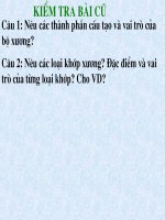Bài cấu tạo và tính chất của xương   bài giảng điện tử tham khảo thao giảng sinh học lớp 8 (13) 
