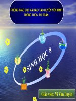 Bài cấu tạo và tính chất của xương   bài giảng điện tử tham khảo thao giảng sinh học lớp 8 (20) 