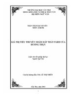 giá trị tiểu thuyết nhắm mắt thấy paris của dương thụy