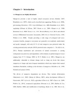 nvestigating the influences of tidal inundation and surface elevation on the establishment and early development of mangroves  for application in understanding mangrove rehabilitation techniques 1  2 