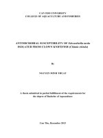 antimicrobial susceptibility of edwardsiella tarda isolated from clown knifefish (chitala chitala)