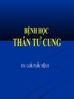 Bài giảng bệnh học thân tử cung