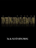 BÀI GIẢNG TỔN THƯƠNG CƠ BẢN CỦA TẾ BÀO VÀ MÔ