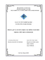 phân lập và tuyển chọn các dòng nấm mốc trong viên men cơm rượu