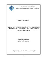 khảo sát sự sinh trưởng và phát triển ba giống cà chua qua hai kiểu trồng dùng làm kiểng
