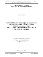 giải pháp nâng cao hiệu quả sử dụng thẻ thanh toán tại ngân hàng thương mại cổ phần phát triển thành phố hồ chí minh chi nhánh cần thơ