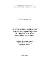 thực trạng rủi ro tín dụng tại ngân hàng thương mại cổ phần phương đông chi nhánh kiên giang