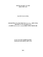 ảnh hưởng của mật độ tảo chlorella sp đến tăng trưởng và tỷ lệ sống của cá bóp (rachycentron canadum) bột ương trong bể