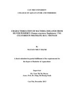 characterization of bacteria isolated from silver pomfret (pampus argenteus euphrasen, 1788) cultured in nhatrang bay, vietnam