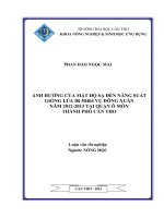 ảnh hưởng của mật độ sạ đến năng suất giống lúa ir 50404 vụ đông xuân năm 20122013 tại quận ô môn thành phố cần thơ