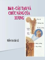 Bài cấu tạo và tính chất của xương   bài giảng điện tử tham khảo thao giảng sinh học lớp 8 (9) 