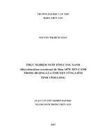 thực nghiệm nuôi tôm càng xanh (macrobrachium rosenbergii de man, 1879) xen canh trong ruộng lúa ở huyện vũng liêm tỉnh vĩnh long