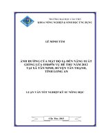 ảnh hưởng của mật độ sạ đến năng suất giống lúa om6976 vụ hè thu năm 2012 tại xã tân ninh, huyện tân thạnh, tỉnh long an