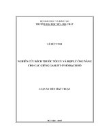 Nghiên cứu kích thước tối ưu và hợp lý ống nâng cho các giếng gaslift ở mở Bạch Hổ