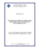 ứng dụng dấu phân tử trong việc nhận diện một số tính trạng quan trọng ở lúa