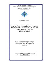 ảnh hưởng của phân bón lá kali nitrat đến năng suất lúa mtl480 trồng trong chậu vụ thu đông 2013