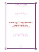 phân lập chất từ cao chloroform của thân non chùm ngây (moringa oleifera lam.), họ chùm ngây (moringaceae)