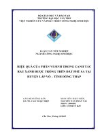 hiệu quả của phân vi sinh trong canh tác rau xanh được trồng trên đất phù sa tại huyện lấp vò – tỉnh đồng tháp