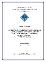 ảnh hưởng của liều lượng phân đạm lên năng suất giống lúa ir50404 vụ hè thu 2012 tại xã vĩnh phú huyện thoại sơn tỉnh an giang