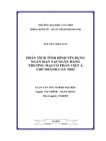 phân tích tình hình tín dụng ngắn hạn tại ngân hàng thương mại cổ phần việt á chi nhánh cần thơ