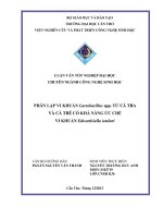 phân lập vi khuẩn lactobacillus spp. từ cá tra và cá trê có khả năng ức chế vi khuẩn edwardsiella ictaluri