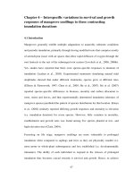 nvestigating the influences of tidal inundation and surface elevation on the establishment and early development of mangroves  for application in understanding mangrove rehabilitation techniques 1  5 