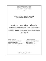 khảo sát khả năng phân hủy hydrogen peroxide của cao chiết lá cây sa kê (artocarpus altilis (park.) fosb) in vitro