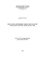 định lượng metformin trong một số dược phẩm bằng phương pháp quang phổ