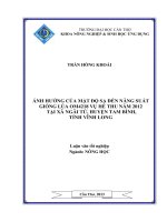 ảnh hưởng của mật độ sạ đến năng suất giống lúa om4218 vụ hè thu năm 2012 tại xã ngãi tứ, huyện tam bình, tỉnh vĩnh long