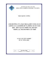 ảnh hưởng của mật độ sạ đến năng suất giống lúa jasmine 85 vụ đông xuân năm 2012  2013 tại xã thới tân, huyện thới lai, thành phố cần thơ