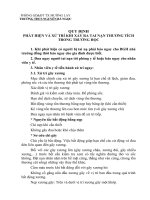 QUY ĐỊNH PHÁT HIỆN và xử TRÍ TAI nạn