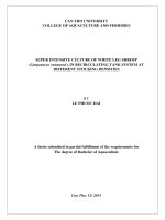 super intensive culture of white leg shrimp (litopenaeus vannamei), in recirculating tank system at different stocking densities