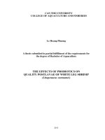 the effects of probiotics on quality postlavae of white leg shrimp (litopenaeus vannamei)