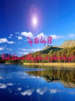 Hình 8:Hình bình hành