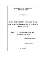 Bước đầu nghiên cứu phân loại chi dương xỉ gỗ (alsophila r  br ) ở việt nam