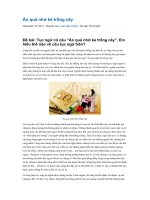 Ăn quả nhớ kẻ trồng cây 