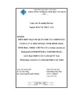 diễn biến mật số quần thể của nhóm sâu cuốn lá và một số đặc tính hình thái, sinh học, triệu chứng của archips atrolucens  diakonoff (lepidoptera: tortricidae) gây hại trên cây cam quýt tại tỉnh hậu giang và thành phố cần thơ