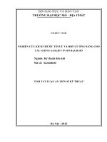 Nghiên cứu kích thước tối ưu và hợp lý ống nâng cho các giếng GASLIFT ở mỏ bạch hổ (TT)