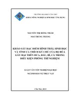 khảo sát đặc điểm hình thái, sinh học và tính ưa thích ký chủ của bọ rùa gây hại trên dưa, bầu, bí, cà trong điều kiện phòng thí nghiệm