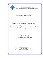 nghiên cứu biện pháp phòng trị bệnh cháy bìa lá (xanthomonas oryzae pv.oryzae) trên lúa bằng thực khuẩn thể
