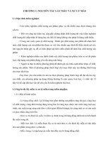 Bài giảng phân tích thực phẩm ppt