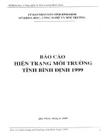 Báo cáo hiện trạng môi trường tỉnh bình định năm 1999
