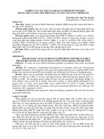 NGHIÊN cứu GIÁ TRỊ của BRAIN NATRIUMRETIC PEPTIDE TRONG TIÊN LƯỢNG sớm NHỒI máu cơ TIM cấp có ST CHÊNH LỆCH 