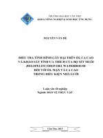 điều tra tình hình gây hại trên ổi, ca cao và khảo sát tính ưa thích của bọ xít muỗi helopeltis theivora waterhouse đối với ổi, mận và ca cao trong điều kiện nhà lưới
