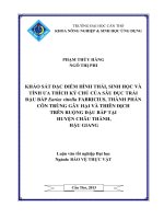 khảo sát đặc điểm hình thái, sinh học và tính ưa thích ký chủ của sâu đục trái đậu bắp earias vittella fabricius, thành phần côn trùng gây hại và thiên địch trên ruộng đậu bắp tại huyện châu thành, hậu giang